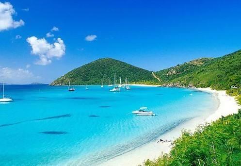 5. 股东和董事的隐私保护