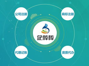 七、市场进入战略：规避失误