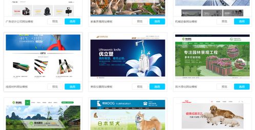 如何花彳艮少的钱搭建自己的网站：使用免费建站系统