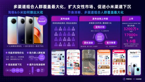 成功案例：精准定位与创新策略的典范