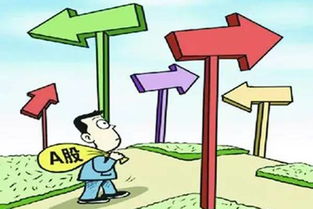 典型的侵权类型与解封概率