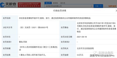2. 违反版权规定