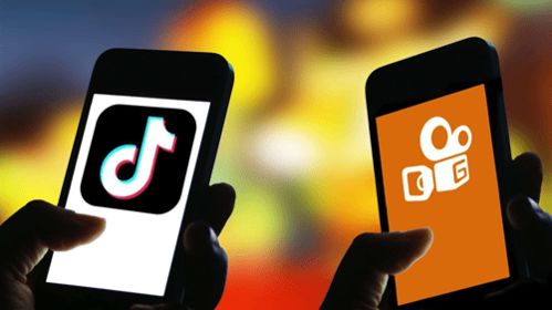 4. 平台合作获取素材