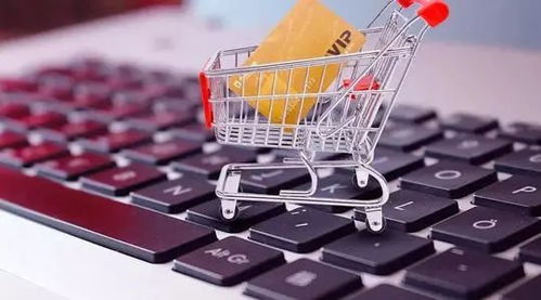 自营电商网店：稳定发展的生意选项