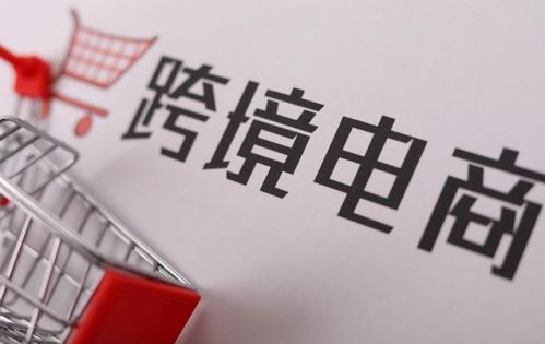 4. 监管风险