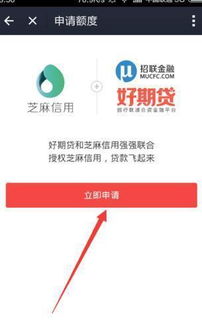 二、 支付宝信用贷额度详解