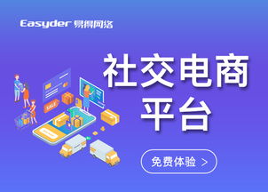 社交电商的崛起