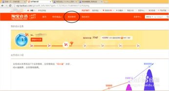 3. 淘宝直播的利用