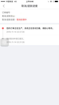 三、 双11当天商品的退款流程与注意事项