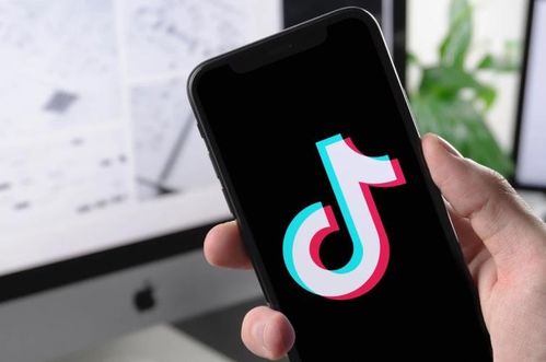 六、电子钱包的便捷与效率