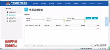 德国税务局官方表格在线提交geng正申报