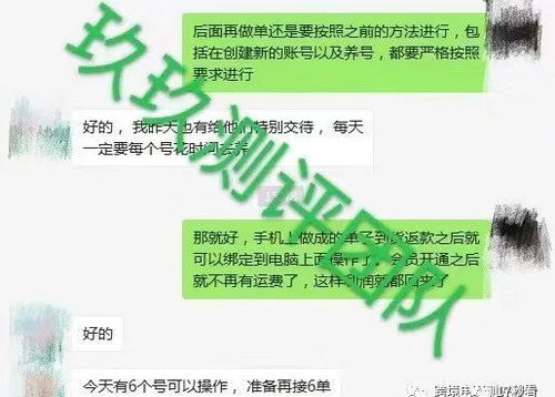 2. 阿里巴巴（Alibaba）