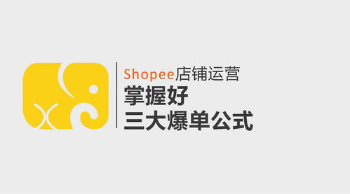三、 新店运营与成长策略