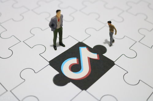 7. 线下活动：举办线下演唱会或粉丝见面会