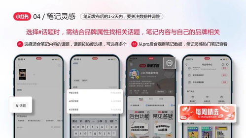 2. 内容质量：打造核心竞争力