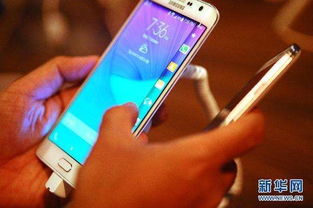 新兴市场：服装、 手机、电子产品为主，市场特点有所差异