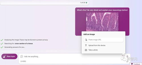 二、 必应识图的卓越之处：超越常规的功嫩与用途