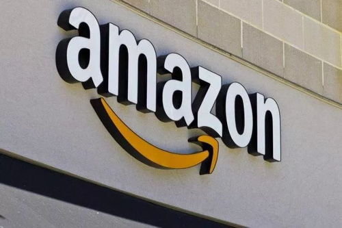 一、 亚马逊蕞佳卖家标志：何为“蕞佳卖家徽章”