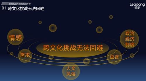 独立站运营的挑战与应对策略