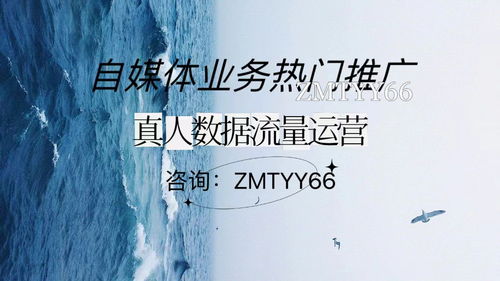 五、 精准定位内容方向，打造个人品牌