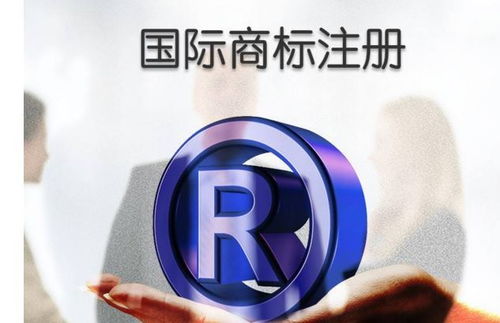 律法保障：知识产权的坚实后盾