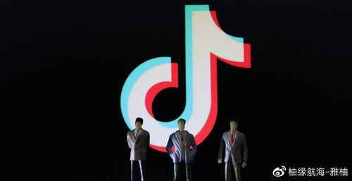 专项治理的背景与目的