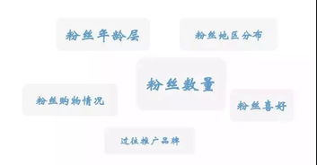 7. KOL与网红合作