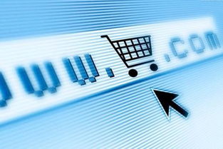 欧罗巴联盟“新申商增值税法”的影响