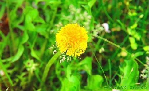 2. 平台的具体作用