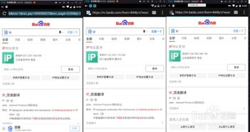 IP地址的关联性