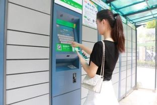 环至美平台：助力跨境电商物流