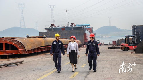 一、 南非电力市场现状与挑战