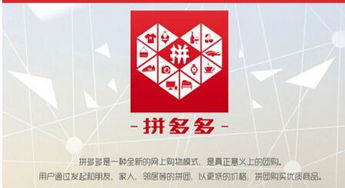 一、 拼多多新店运营背景