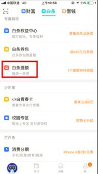步骤四：查kan可用额度