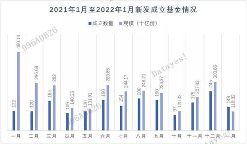 ：Yandex Market首单折扣的吸引力