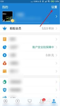 设定默认支付方式
