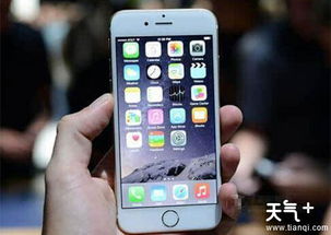 埃及电话拨打到中国：来电显示方式详解