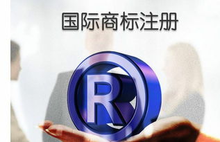 商标注册的维护：保持商标有效性的必要步骤