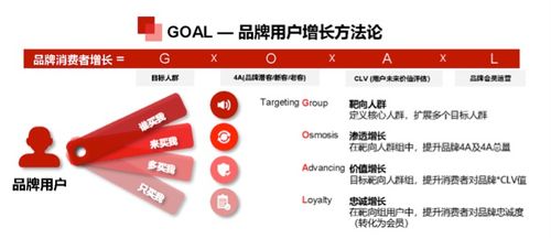 京东全球购网络营销渠道概览