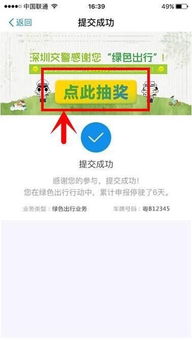 二、 支付宝绿色车主的潜在风险探讨