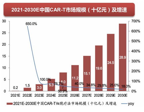 新兴市场的挑战与机遇