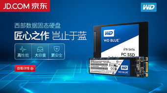 京准通与直通车：平台对比解析