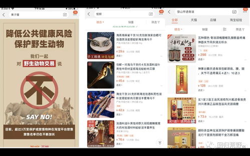 四、 活动亮点解析