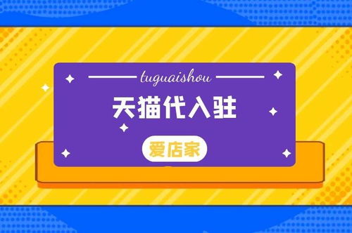 二、 服务内容详述