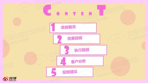 一、淘宝运营攻守之术的概述