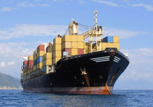 欧罗巴联盟绿色通道政策下的退运关税减免