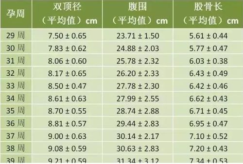 1. 计算方式及费用范围