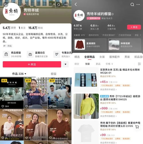 2.2 抖音与视频号并行发展的优势