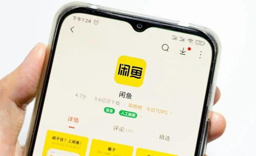 一、闲鱼验货宝的服务概述