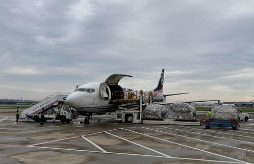 4. 货物到达目的港